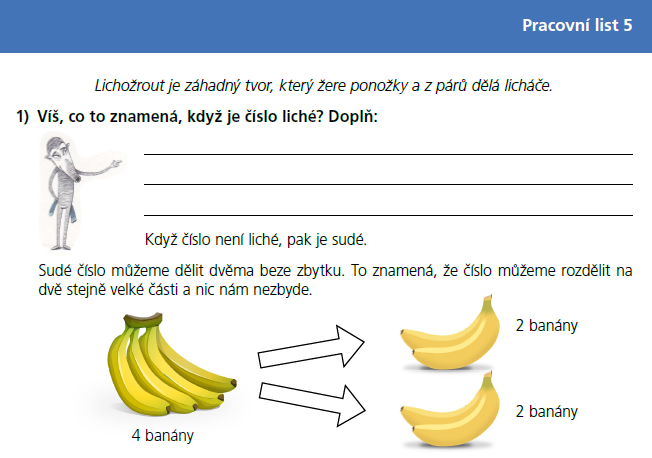 Lichožrouti - pracovní list 5